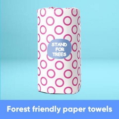 WGAC Web ProductImages5-Forest friendly paper towel